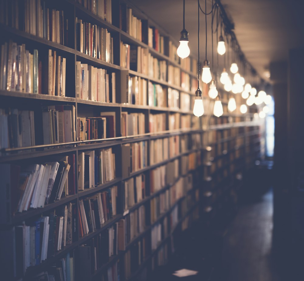 Bibliotheek met Nederlandse boeken - synoniemen woordenboek